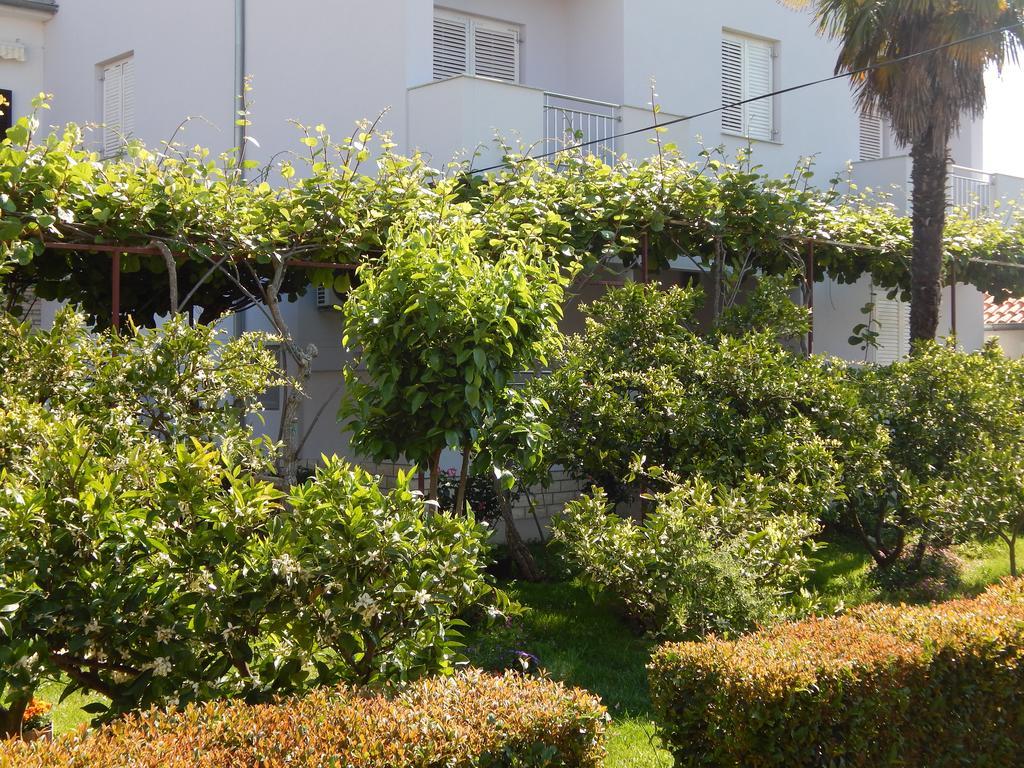 Apartment Saric Sukošan Dış mekan fotoğraf