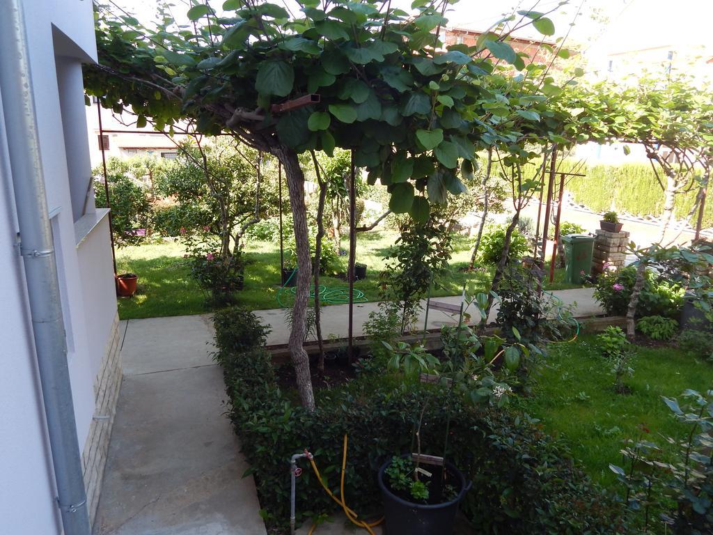 Apartment Saric Sukošan Dış mekan fotoğraf