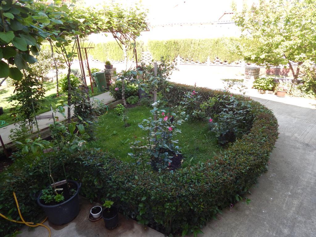 Apartment Saric Sukošan Dış mekan fotoğraf